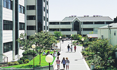 Christchurch Polytechnic Institute of Technology