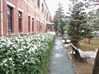 kisestu_20070202_5.jpg