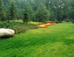 20100628204327318496.jpg