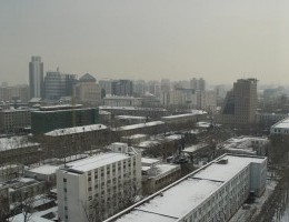 DSC01761.jpg
