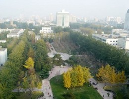DSC09033.jpg